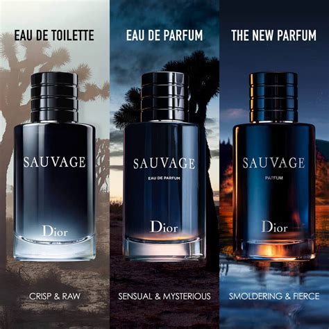 sauvage dior scent profile|Dior Sauvage concentrations.